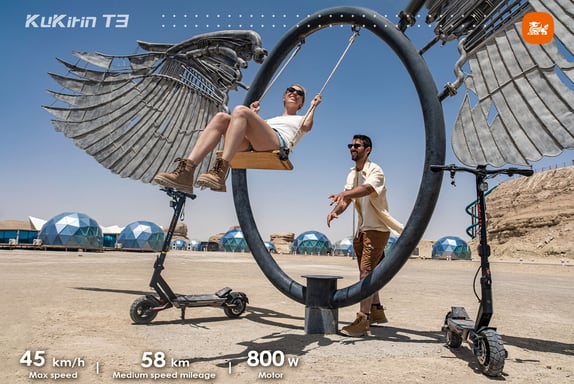 Trottinette électrique - T3 800 W, batterie 48 V 15,6 Ah, 45 km/h, autonomie de 58 km, pneus 10'' et doubles freins à disque