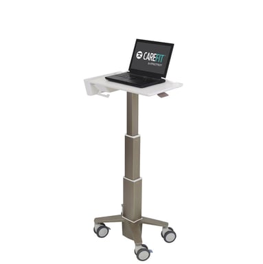 Ergotron C50-1100-0 soporte para ordenador portátil Gris 39,6 cm (15.6'')