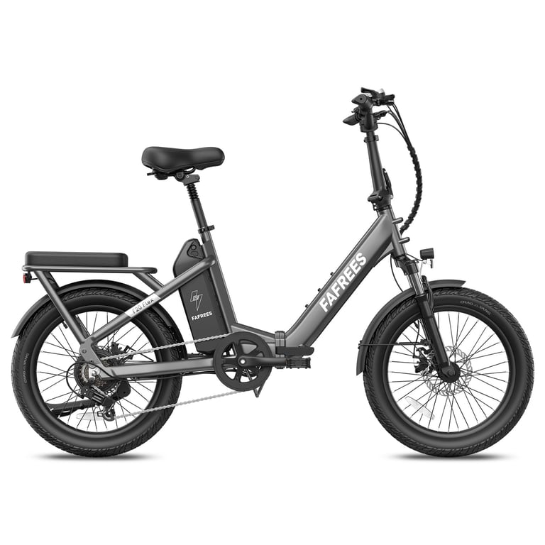 Vélo Électrique Fafrees F20 Flex Moteur Freins à Disque Mécaniques Canne de Fusil - vue 4
