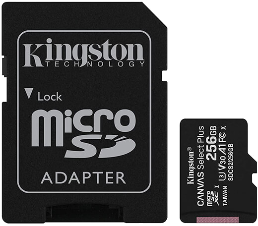 Carte mémoire Kingston MicroSD 256 Go