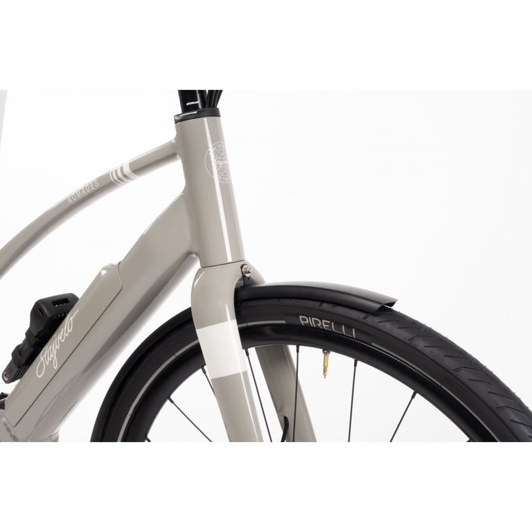 Vélo électrique Nomades en carbone, Gris, Taille L