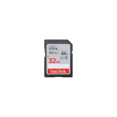 SanDisk SDSQUNR-032G-GN3MN mémoire flash 32 Go MicroSDHC Classe 10