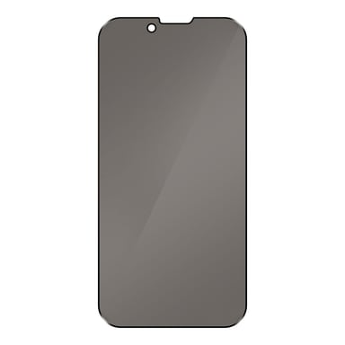 Avizar Film pour iPhone 13 Pro Max Anti-espion Verre Trempé 9H Anti-traces Noir