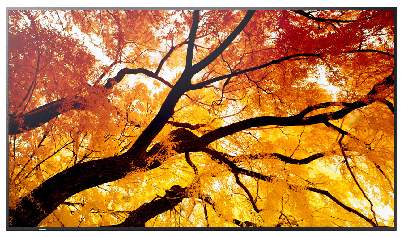 Sharp MultiSync M552 Écran plat de signalisation numérique 139 7 cm 55 LCD 550 cdm² 4K Ultra HD Écran tactile Neuf - vue 3
