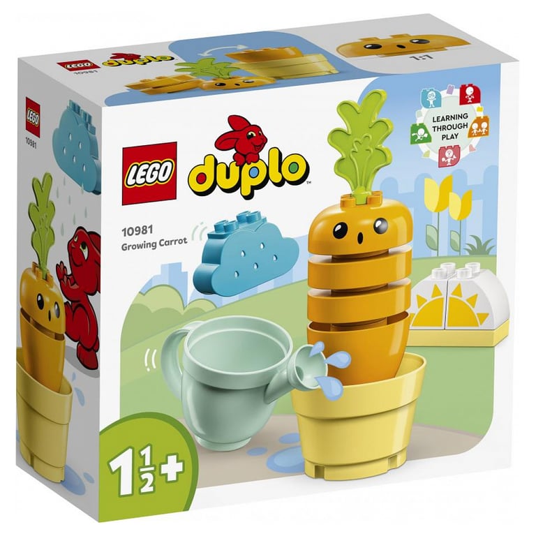 LEGO DUPLO 10981 - vue 2