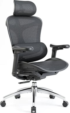 Chaise de bureau ergonomique SIHOO Doro C300 avec accoudoirs 3D, soutien lombaire auto-ajustable et dossier en maille respirante