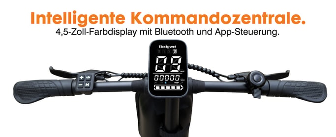 Bicicletta Elettrica T16PRO | Motore 250W | Batteria 36V10Ah | Pnei da 14 PolliciT | Velocità Massima 25 km/h | Autonomia 25 km
