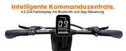 Bicicletta Elettrica T16PRO | Motore 250W | Batteria 36V10Ah | Pnei da 14 PolliciT | Velocità Massima 25 km/h | Autonomia 25 km