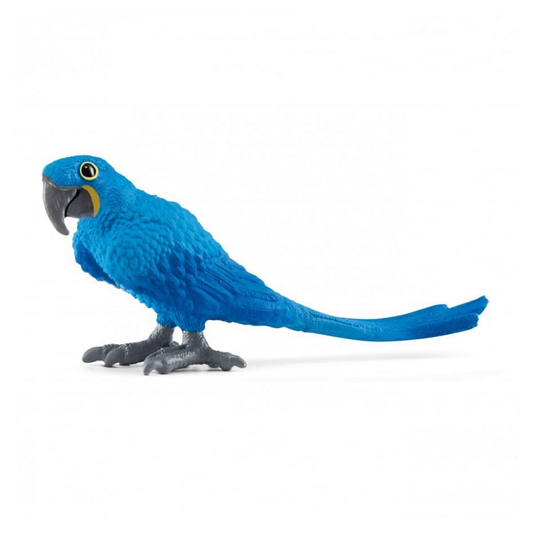 Perroquet Ara Hyacinthe Oiseau Coloré et Intelligent Neuf