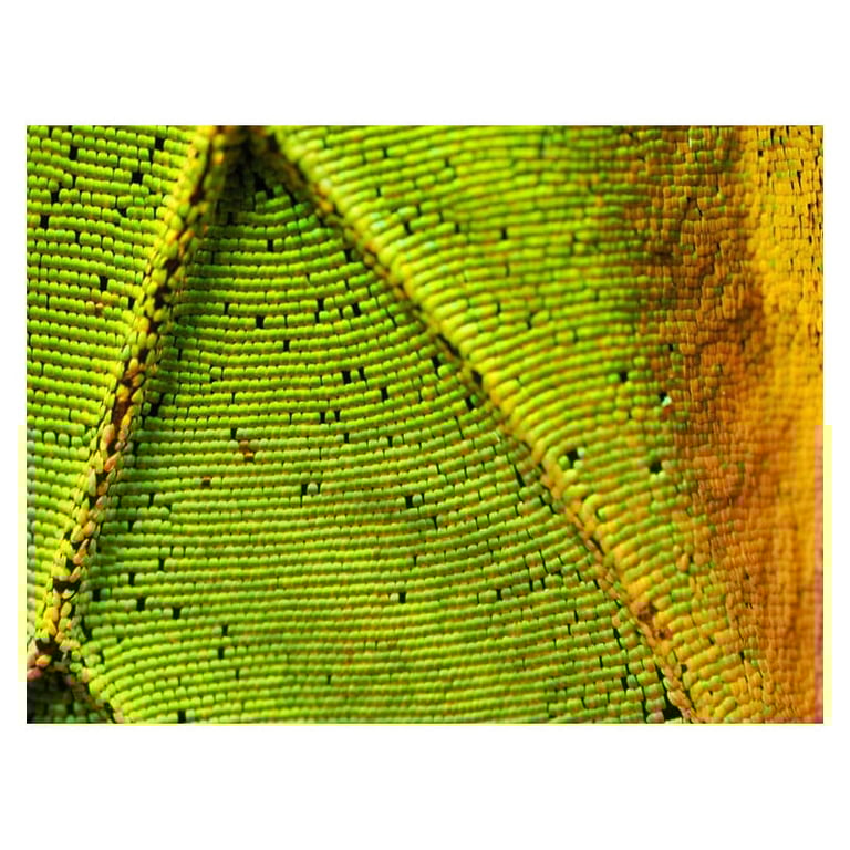 Objectif hybride OM System .Zuiko Digital ED 90mm f3 5 Macro x2 IS PRO - vue 4