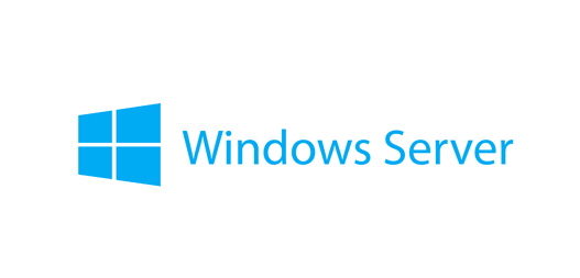 Lenovo Windows Server 2019 Client Access Licence 5 licenza(e)
