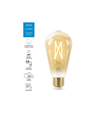 WiZ Connected lampadina Edison vintage bianco variabile E27 50W