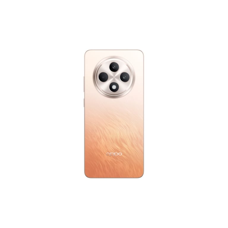 OPPO Reno12 FS 5G - vue 10