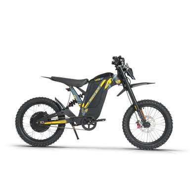 Moto tout-terrain électrique RICH BIT V9 Ultra, batterie 48 V 20 Ah, suspension intégrale, pneus tout-terrain 17 pouces