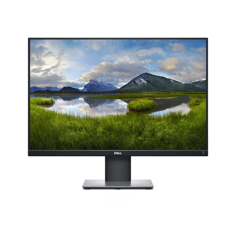 Dell P2421 Écran de PC 24" WUXGA LCD à rétroéclairage LED IPS 60 Hz 8 ms