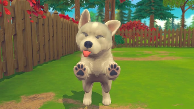 Microids Il mio universo: il mio bambino - Cani e gatti Standard