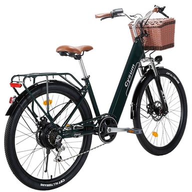 Vélo électrique CYSUM Cityrun avec panier avant, moteur 250 W, batterie 36 V 10 Ah - Vert