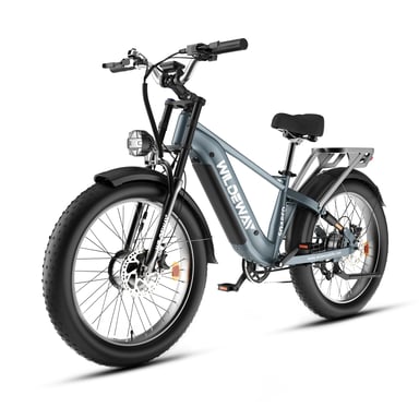 Bicicleta eléctrica Wildeway Soared Max con doble motor, batería de 48 V y 30 Ah - gris