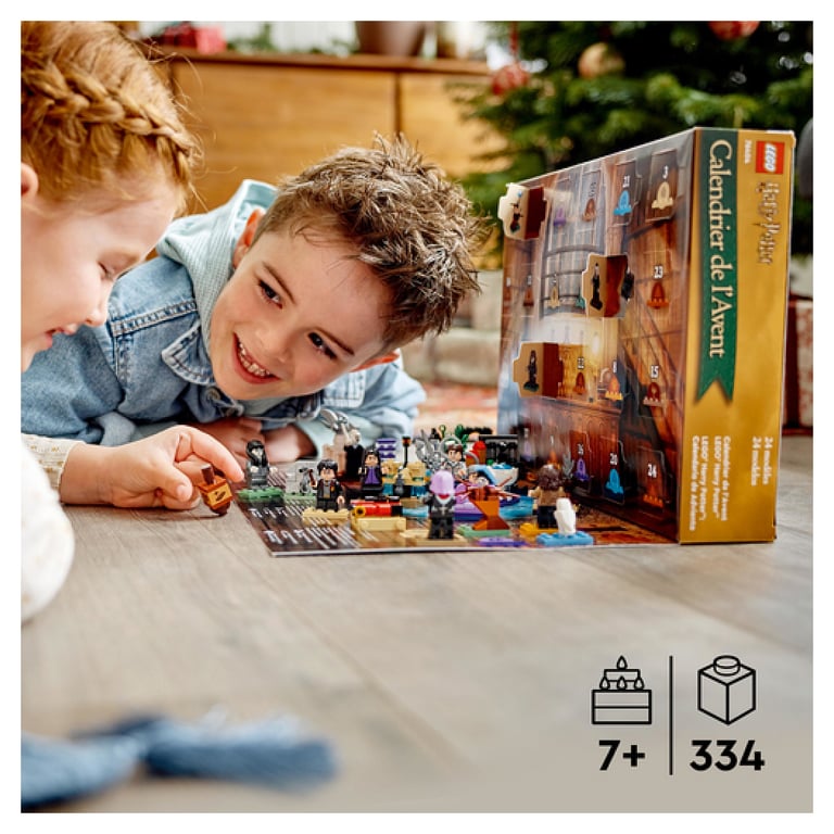 LEGO Harry Potter 76404 - vue 3