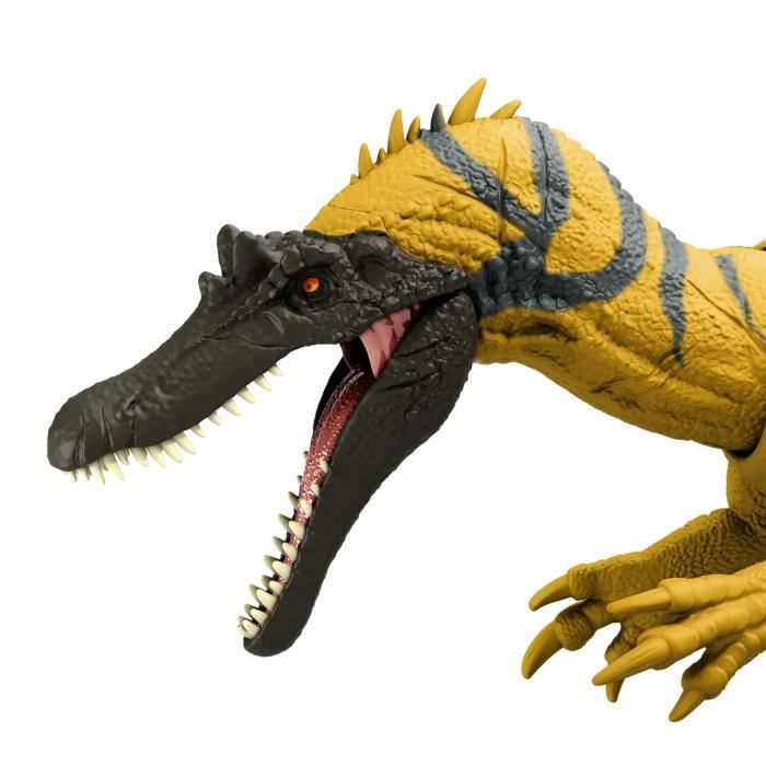 CERATOSUCHOPS SONORE - vue 4