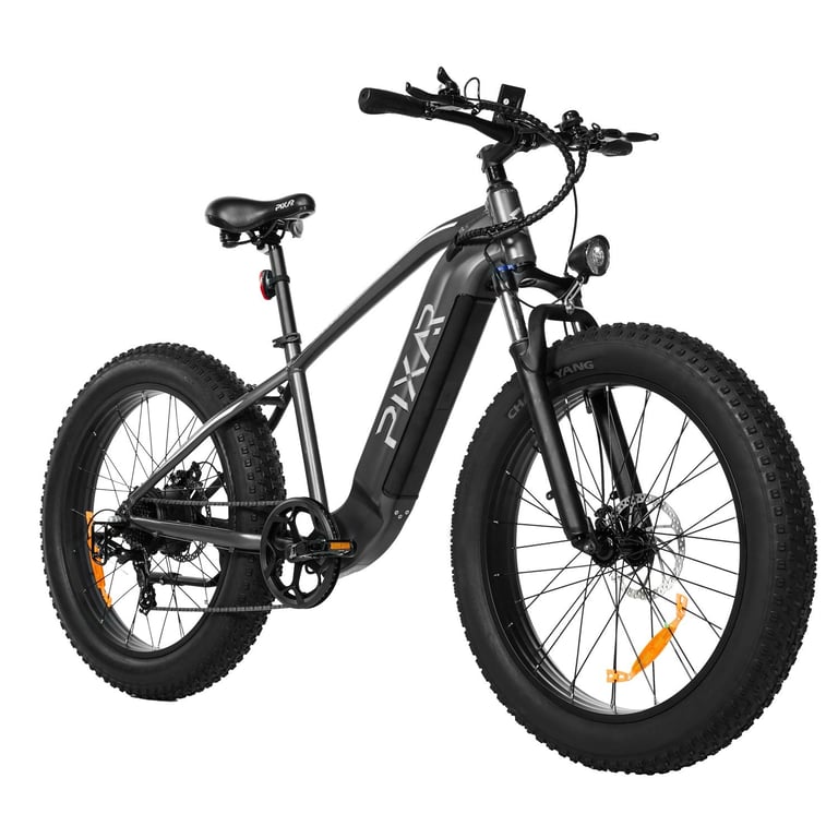 Vélo électrique Pixar Space1 48V 20Ah 26x4 Frein à disque - vue 2