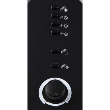 Enfriador de aire 67 cm 70 W Blanco y negro