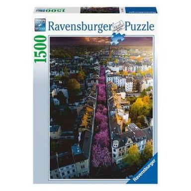 Puzzle Bonn Landscape in Bloom - 1500 piezas Ravensburger