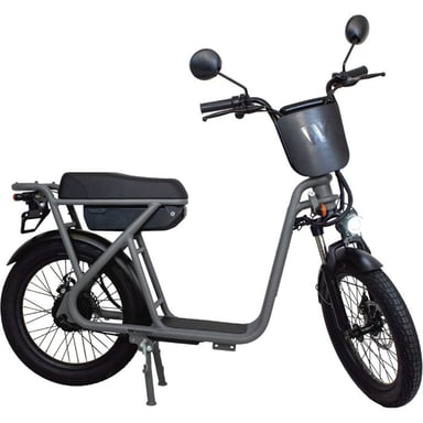 Draisienne électrique WISPEED WiMob Plus 20'' 350 W L1e-B Homologuée route Gris, 25 km/h, batterie 36 V 14 Ah