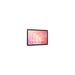 Samsung Galaxy Tab S11 5G 128 GB 27,9 cm (11'') 12 GB Wi-Fi 6 (802.11ax) Gris