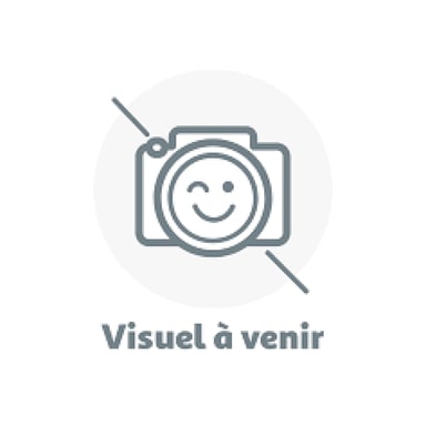 Peluche Beanie Bellies Small - BRRRNARD LE SNOWMAN, Le Bonhomme de Neige