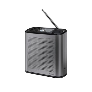 Radio numérique Sharp DR-P530 2,4 pouces couleur Storm Grey