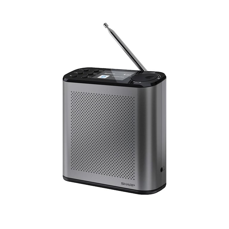 Radio Numérique Portable Sharp DR-P530(GY) – DAB+/FM, Bluetooth 5.3, Écran Couleur - vue 2