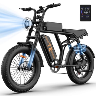 URLIFE T2 Vélo Électrique - Moteur 250W Batterie 48V 15.6Ah Pédalier assisté Freins à disque - NoirFreins à disque - Noir