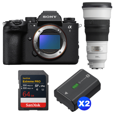 Appareil photo hybride Sony Alpha 1 II + FE 300mm f/2.8 GM OSS + 1 SanDisk 64GB Extreme PRO UHS-II + 2 Sony NP-FZ100 + Ebook ''20 astuces pour des images qui claquent''