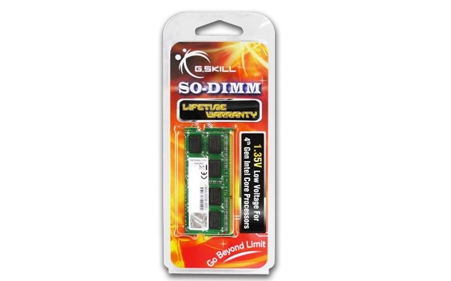 G.Skill RipJaws Series SO DIMM 8 Go DDR3DDR3L 1600 MHz CL11 - vue 10