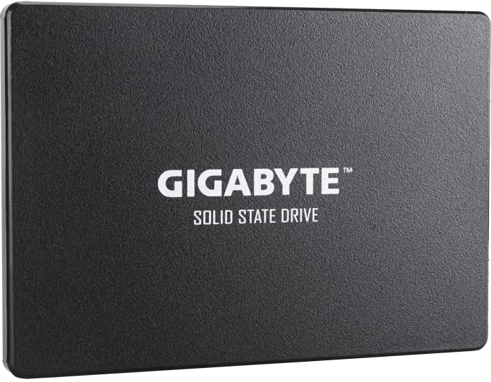 GIGABYTE - Disque SSD Interne - 256Go - 2,5 (GP-GSTFS31256GTND)