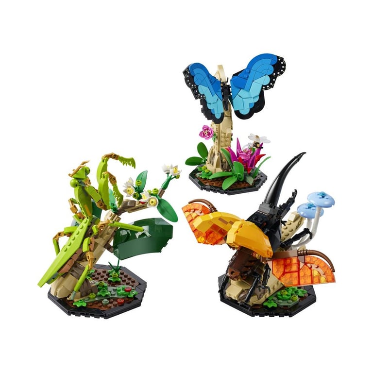 LEGO Ideas La collection d'insectes 21342 - vue 3