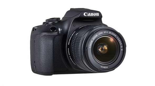 Canon EOS 2000D + EF-S 18-55 IS II + EF 50mm 1/2