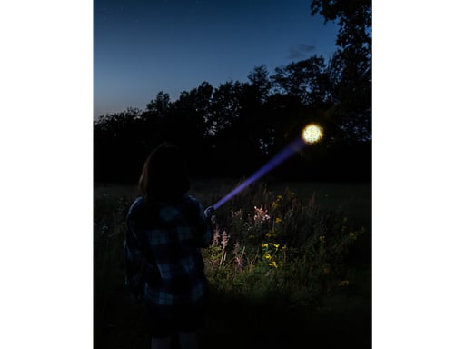 Sandberg 420-89 batteria portatile 5000 mAh Nero (Survivor Torch Powerbank 5000 - flashlight - Warranty: 60M)