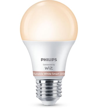 Philips Ampoule intelligente A60 E27 x2 Wi-Fi Bluetooth 806 lm 2700K - vue 1