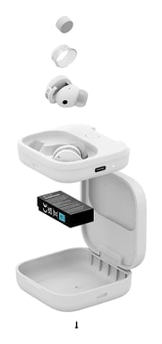 Fairphone Fairbuds Auriculares True Wireless Stereo (TWS) Dentro de oído Llamadas/Música USB Tipo C Bluetooth Blanco