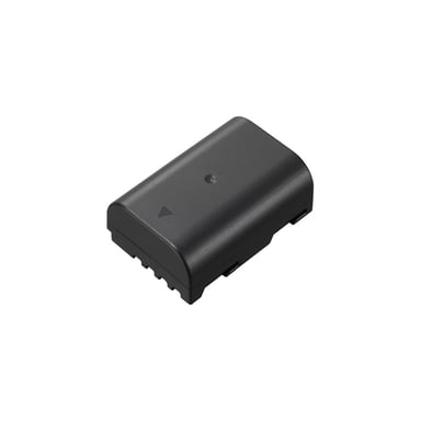 Batteria PANASONIC DMW-BLF19 per GH3, GH4, GH5