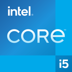 Microsoft Surface Pro 8 Intel® Core™ i5 512 GB 33 cm (13