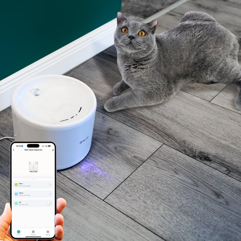 Dispensador de agua para mascotas Tellur Smart WiFi, 2L, Blanco