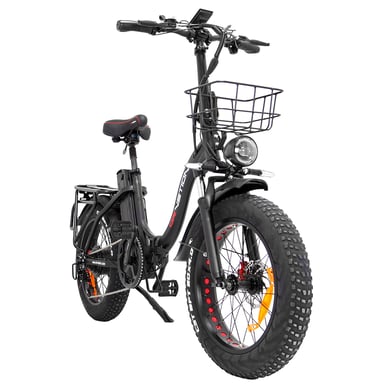 Bici elettrica da città DRVETION CT20 con freni a olio, batteria da 250 W e 48 V, 15 Ah