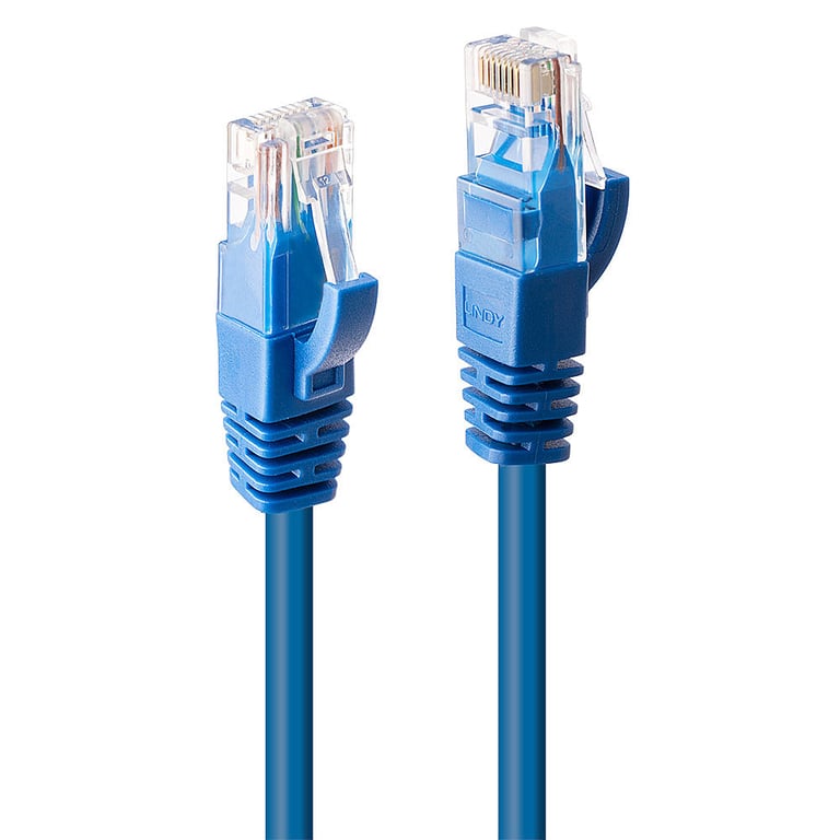 Lindy Câble Réseau Rigide Utp 6ème Catégorie 48018 2 M Rouge Bleu 1 Unités