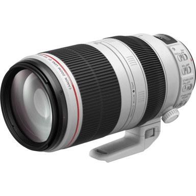 Canon Objectif EF 100-400mm f/4.5-5.6L IS II USM