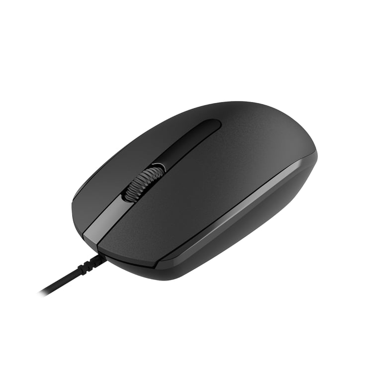 Canyon 10 Bureau Ambidextre USB Type A Optique 1000 DPI Neuf - vue 2