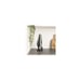 Cecotec 05540 aspirador de mesa Negro Sin bolsa