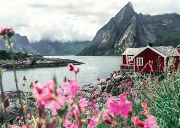 Puzzle 1000 pièces : Reine Lofoten Norvège Ravensburger France - vue 3